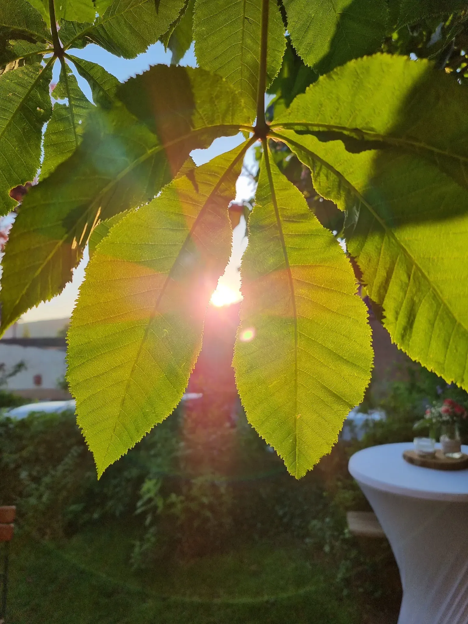 Sonnenuntergang bei einer Veranstaltung