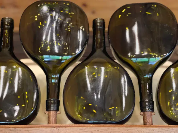 Bocksbeutel Frankenwein
