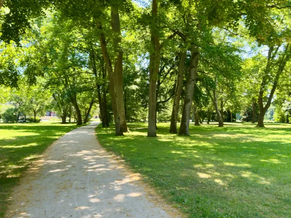 Kurgarten