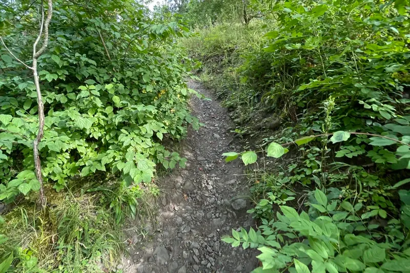 Wandertouren
